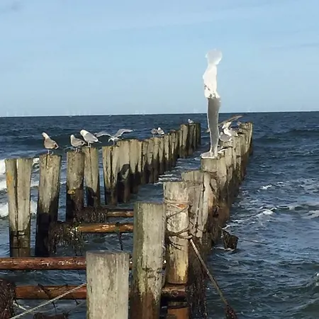 Apartman Haus Selma *