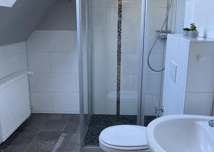 Haus Selma アパート ツィングシュト